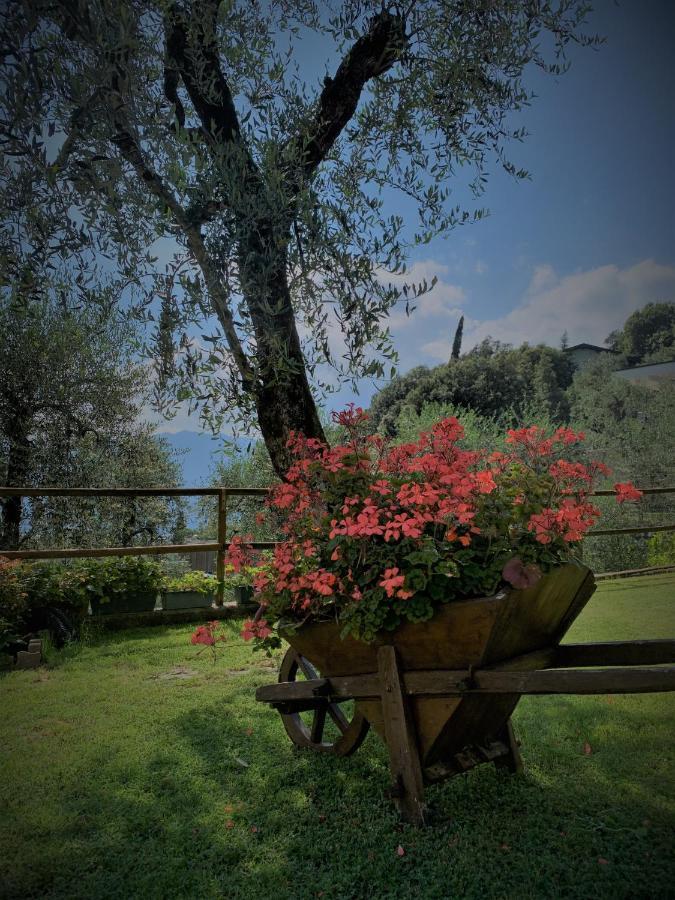 Appartamento Camelia Malcesine Exterior photo